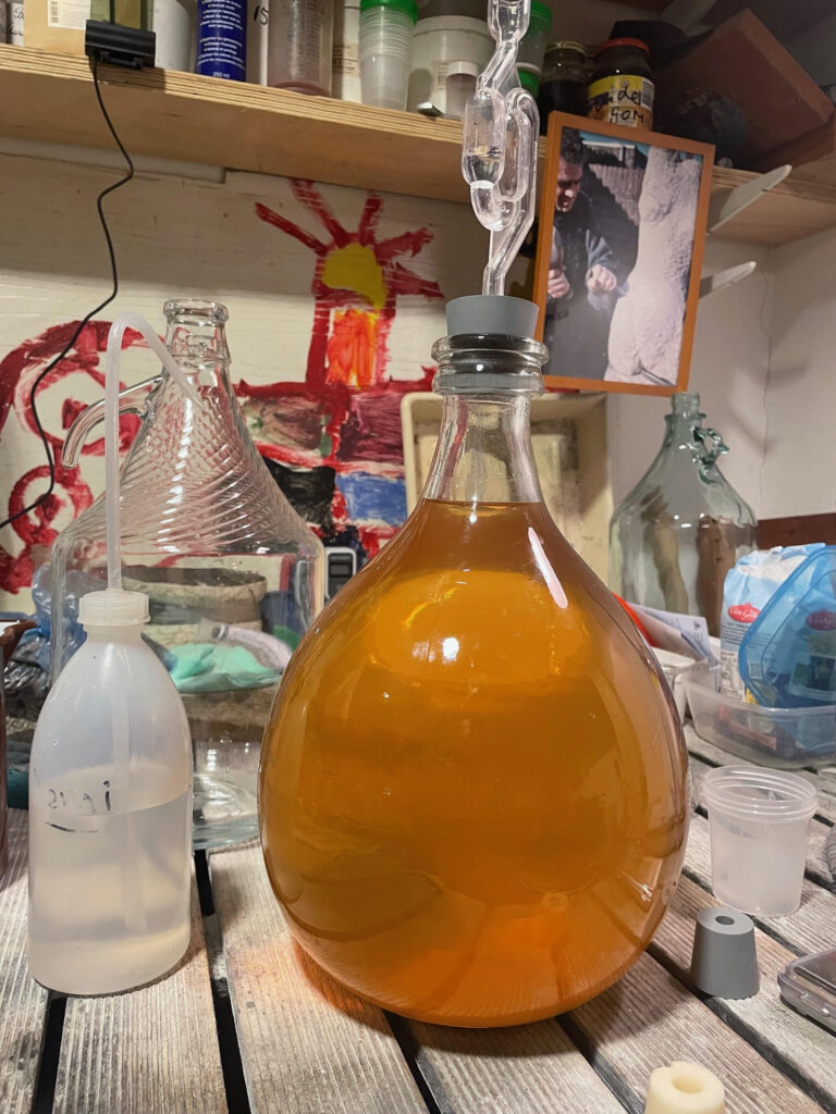 Wijn maken voor beginners v1